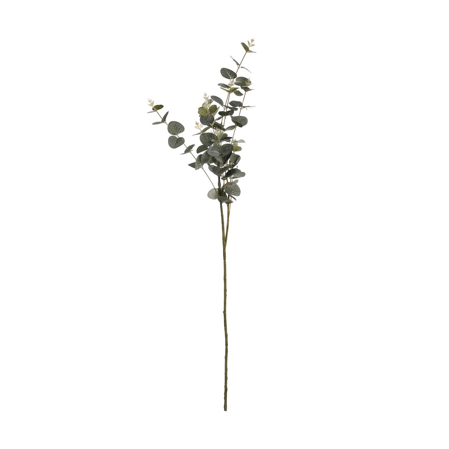 Single stem of faux eucalyptus