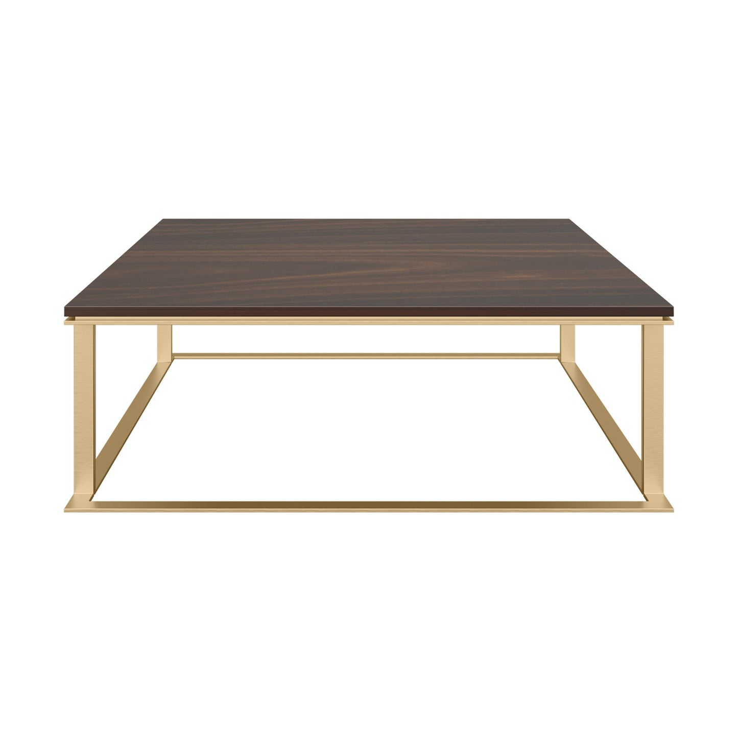 Designer large, low profile coffee table with a wood veneer top and brushed brass structure