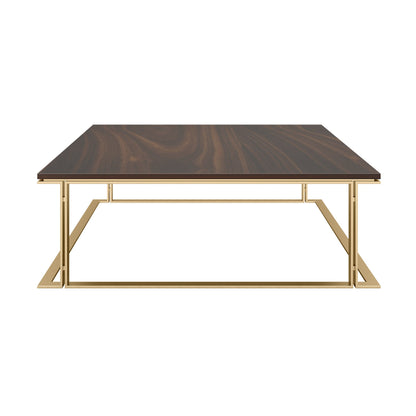 Designer large, low profile coffee table with a wood veneer top and brushed brass structure