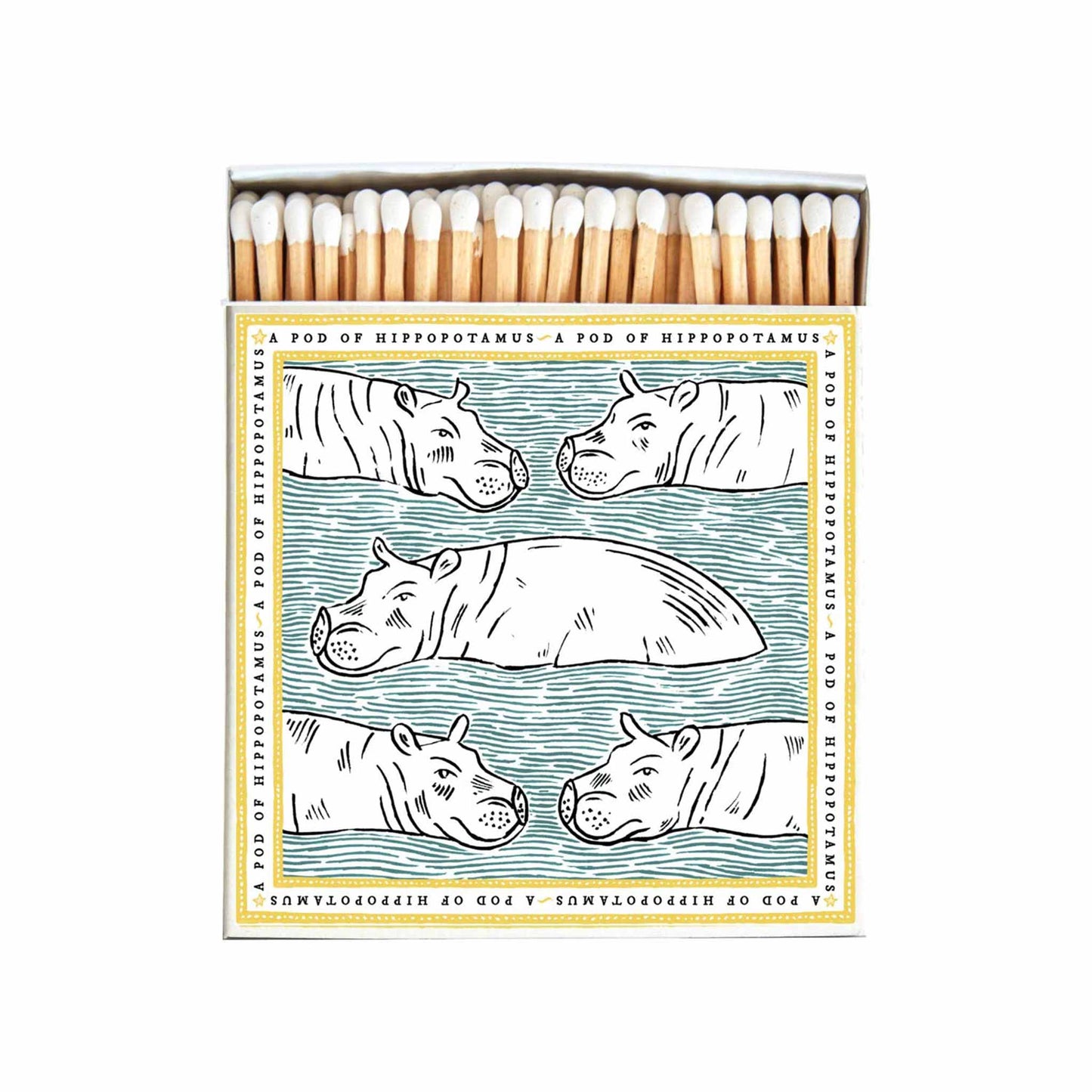 Polkra Matches - A Pod of Hippopotamuses (60 XL)