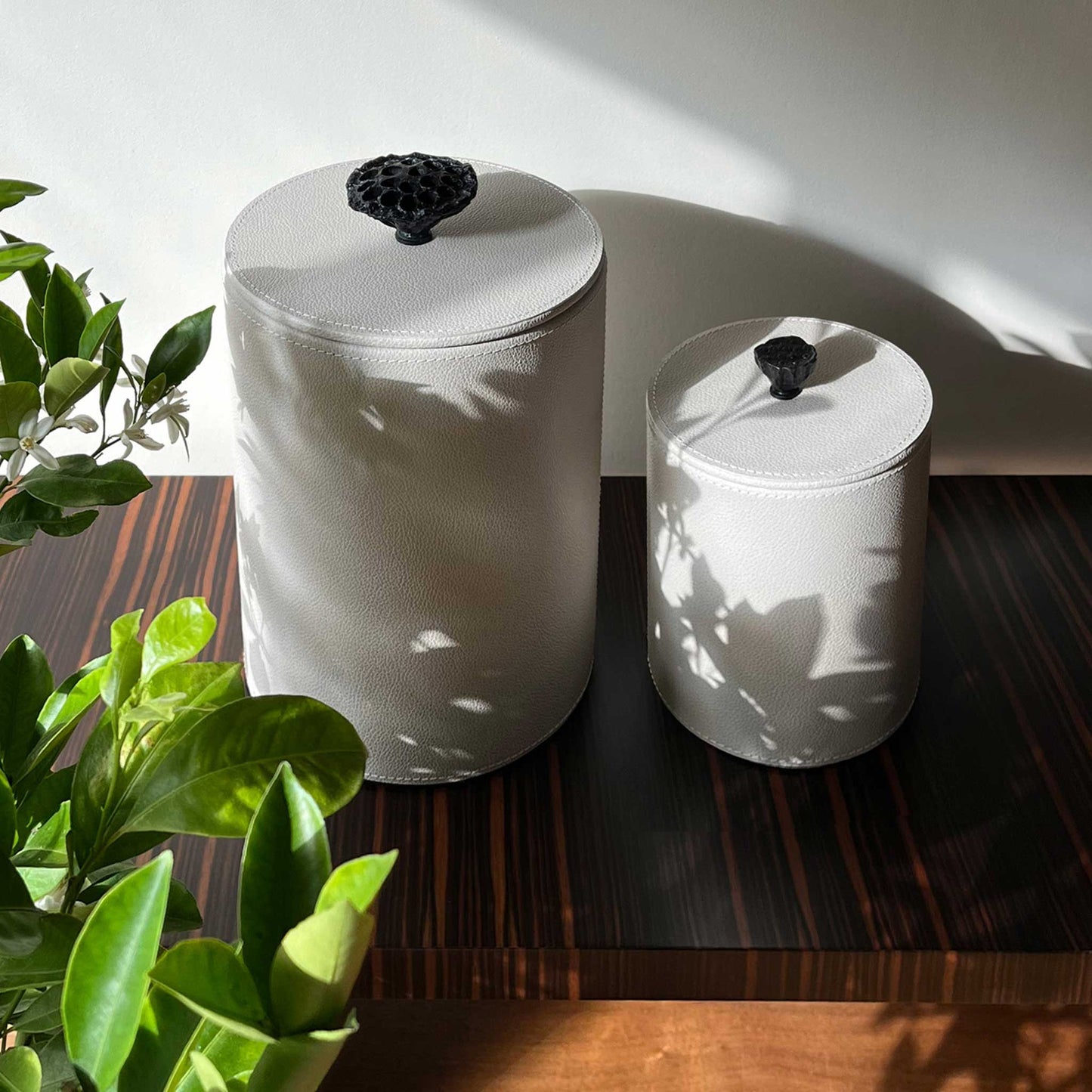 Lifestyle image of two light cream leather cylinder boxes with cast brass handles. Displayed together in a luxury living room with a green leafed plant.  