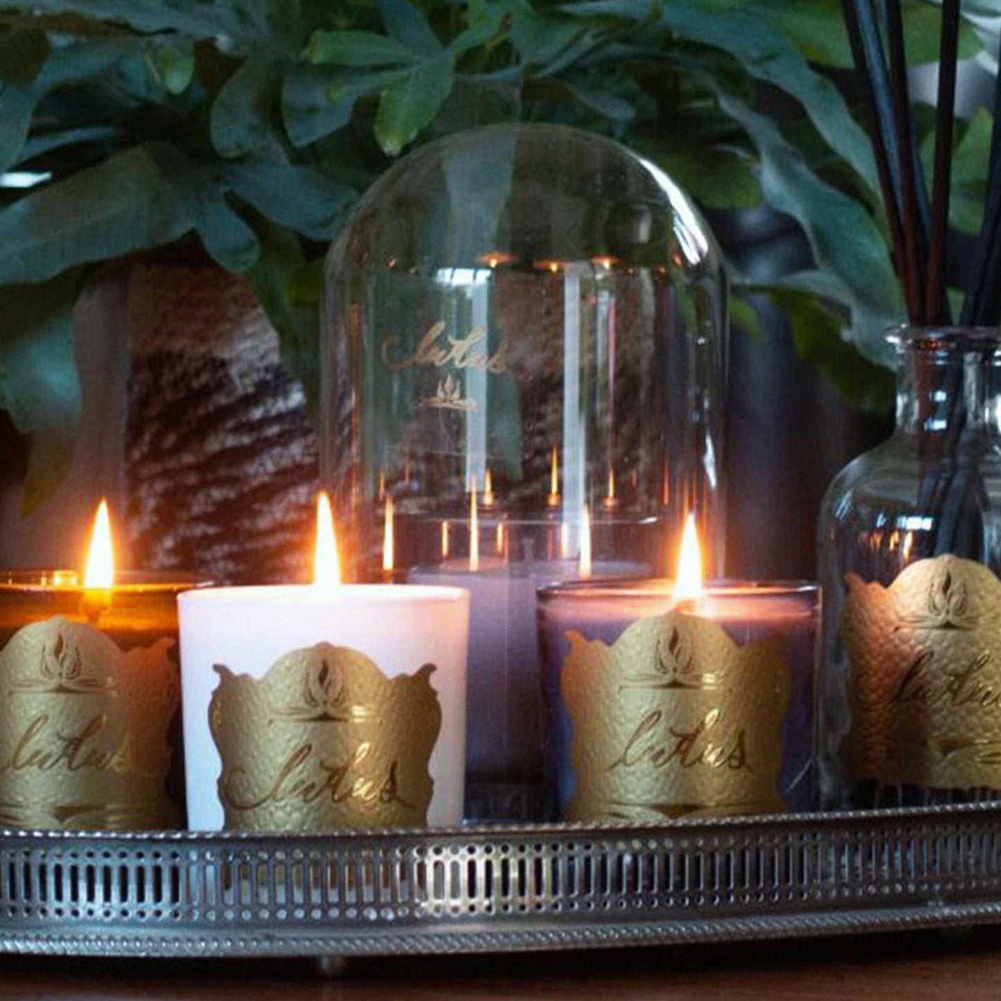 Lifestyle image of collection of lit Ludus candles and reed diffuser