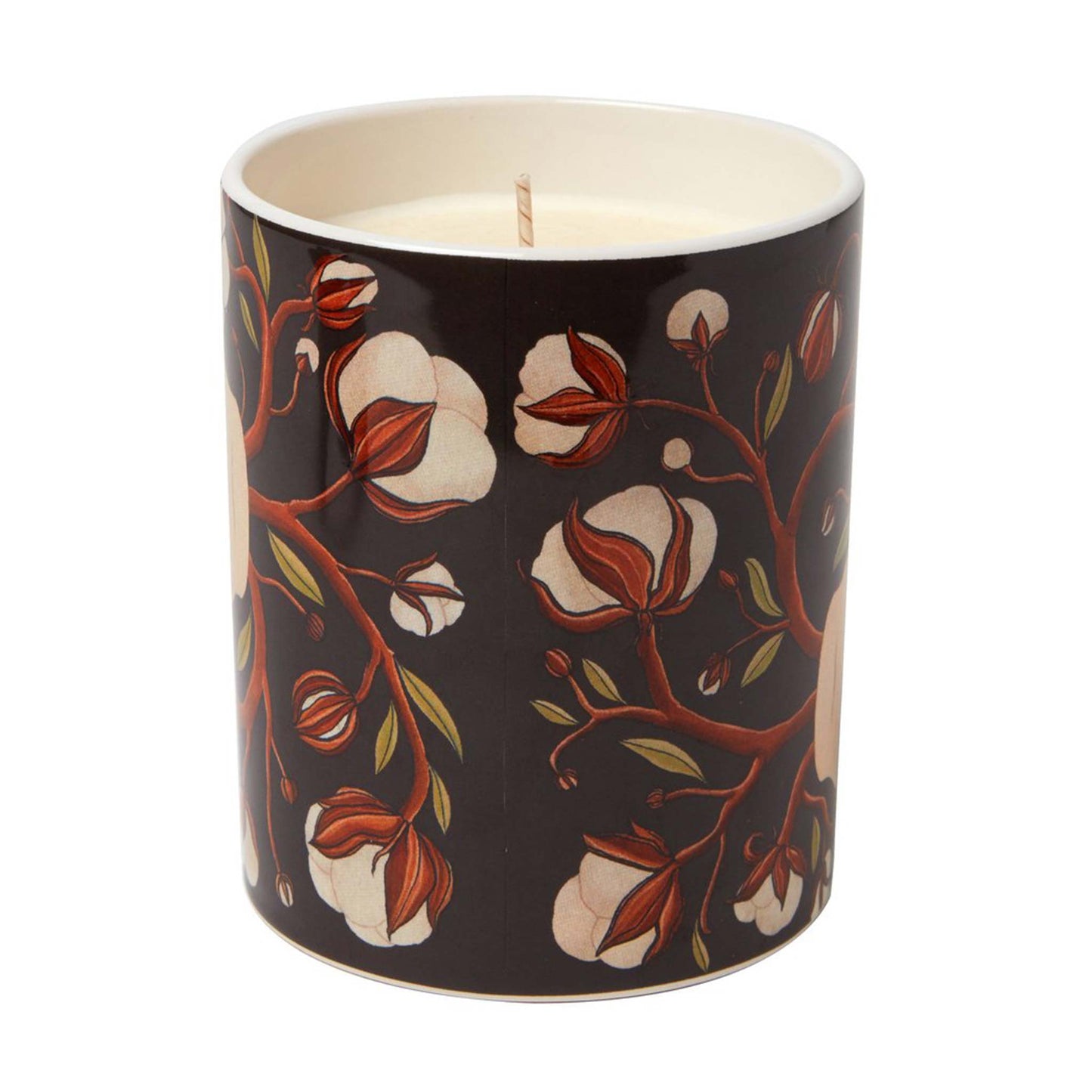 Polkra Delphi Candle (300g)